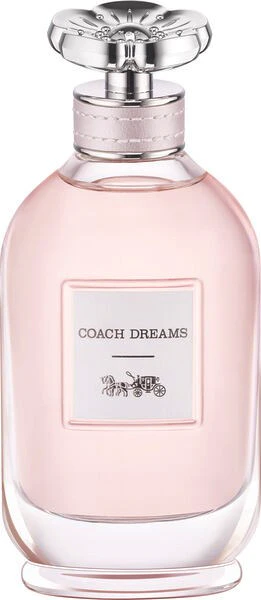 Coach Coach Dreams
